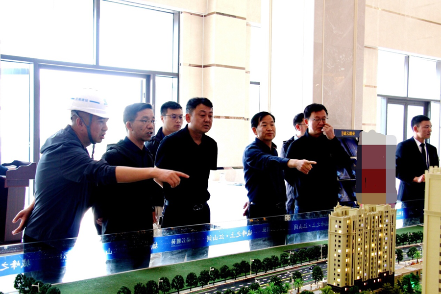 孟春柳到云建、南疆公司調(diào)研