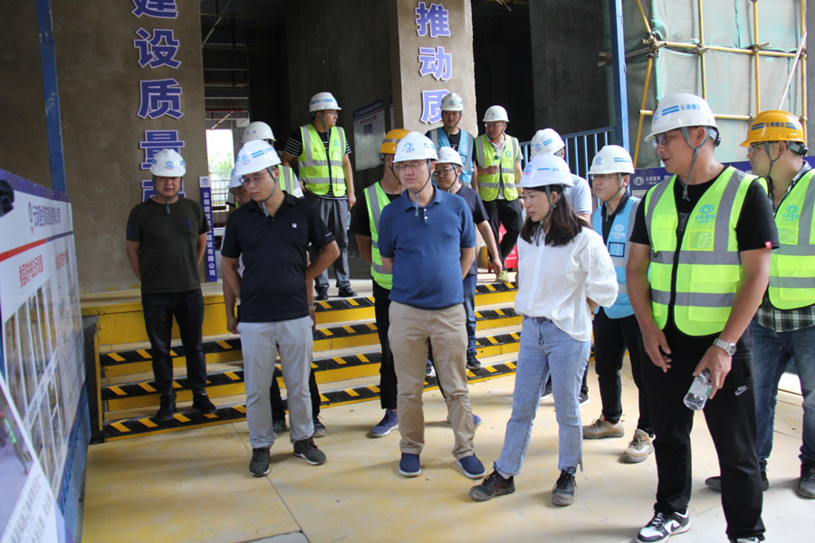 袁明紅到曲靖片區(qū)公司項目調研