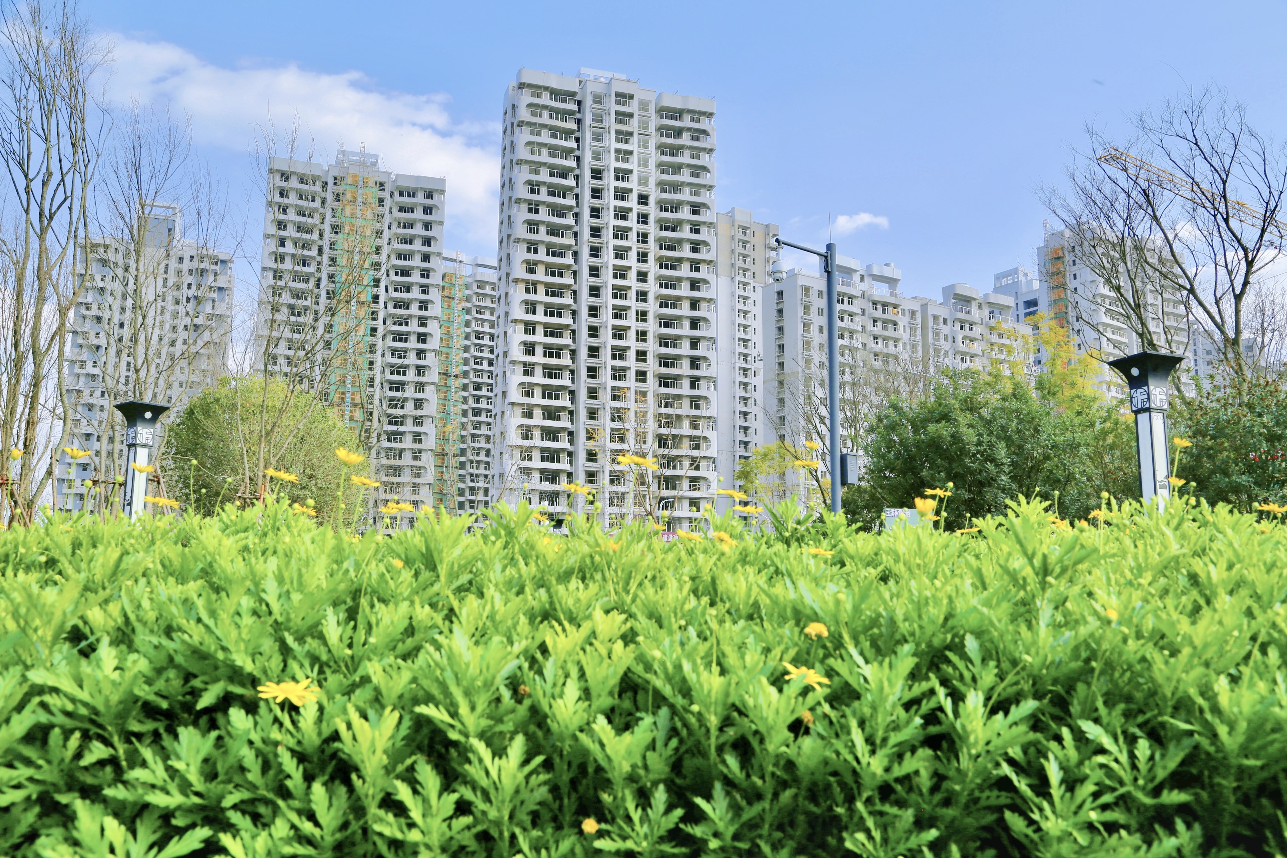 玉溪錦府 景明 高層住宅 (2).JPG