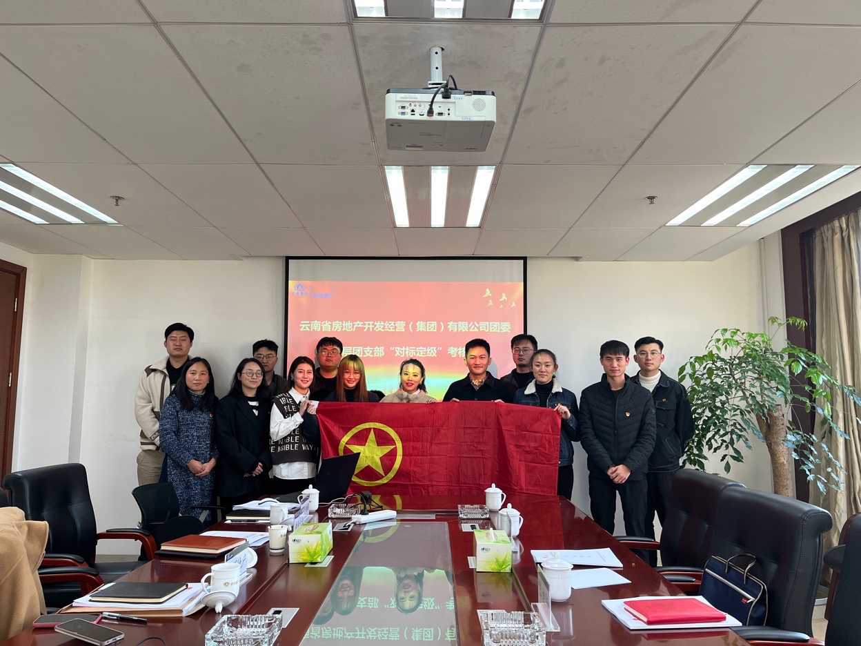 集團團委調研組到公司進行基層團支部對標定級考核會