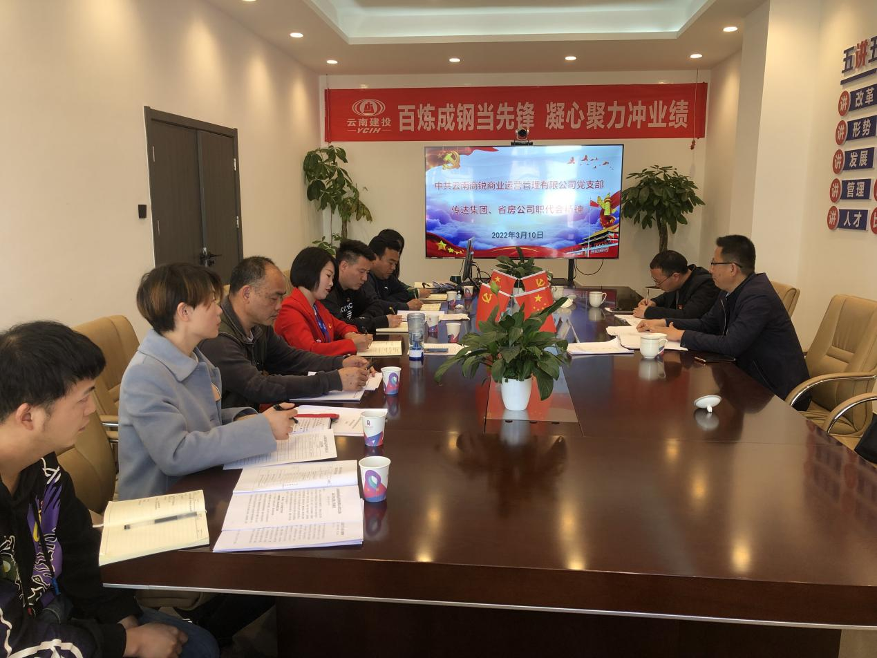 王紅國到商銳公司宣貫集團及省房公司職代會精神