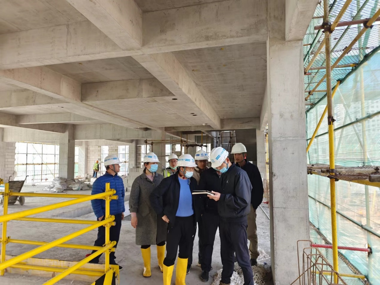 孟春柳到崗頭村項目檢查指導