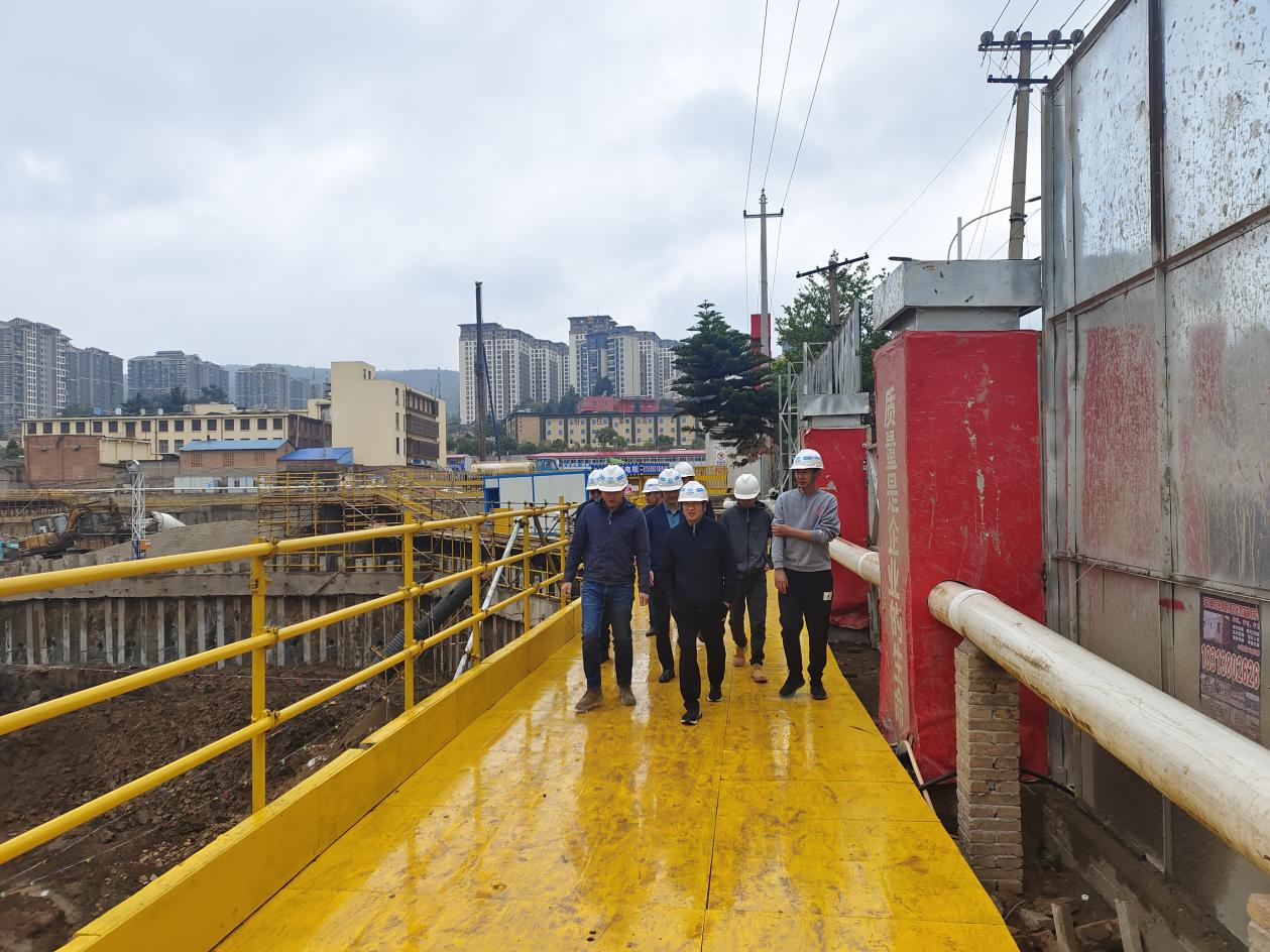 孟春柳到崗頭村項(xiàng)目檢查指導(dǎo)  